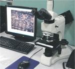 金相显微镜